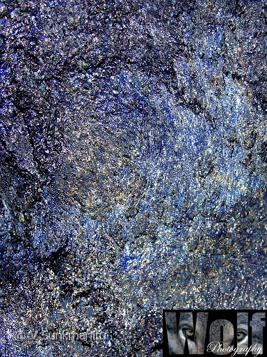 08  Virgin colours Copyright Villayat Sunkmanitu.jpg